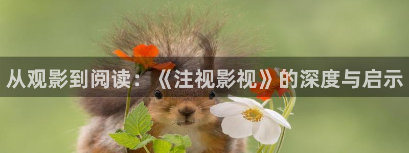 浮力影院草草影院：从观影到阅读：《注视影视》的深度与启示
