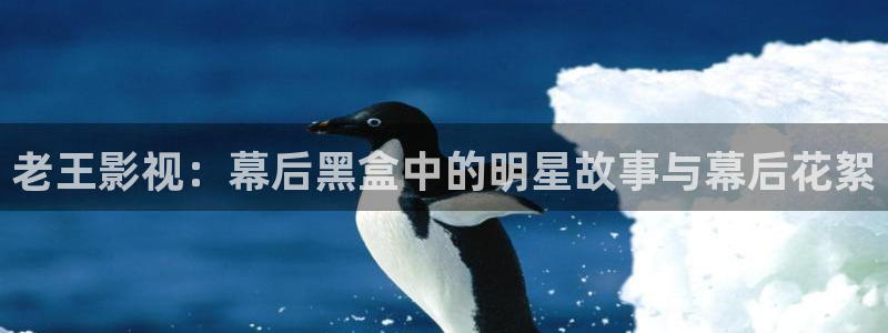 欧美 浮力影院：老王影视：幕后黑盒中的明星故事与幕后花絮