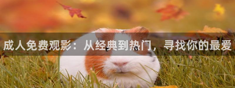 www.浮力影院：成人免费观影：从经典到热门，寻找你的最爱