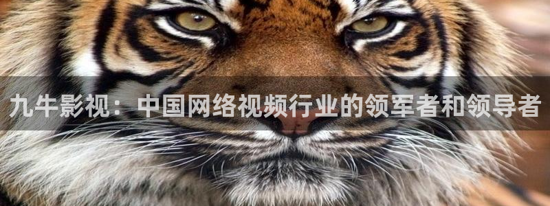浮力影院第10页：九牛影视：中国网络视频行业的领军者和领导者
