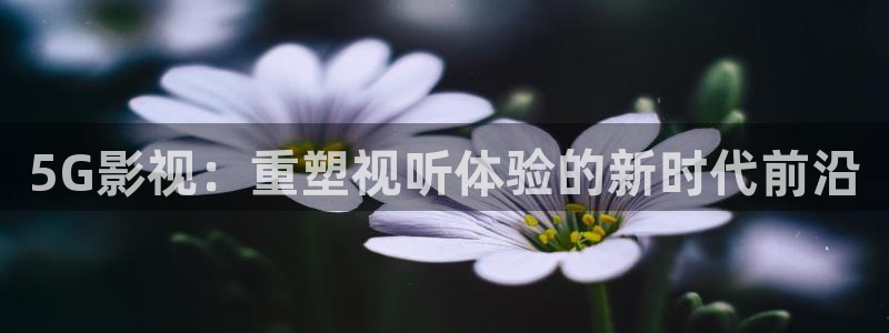 浮力社影院：5G影视：重塑视听体验的新时代前沿