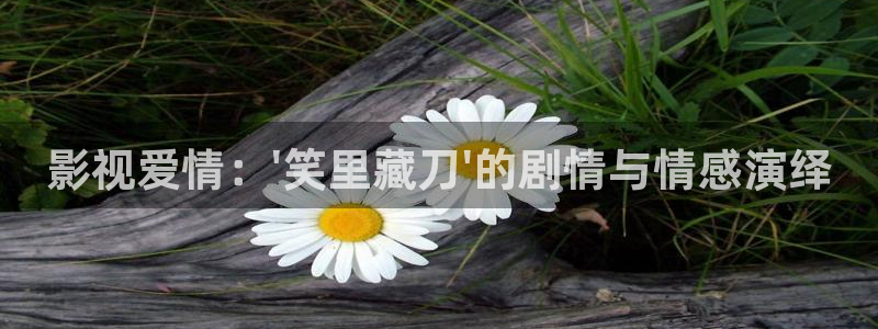 国产浮力影院限制：影视爱情：\'笑里藏刀\'的剧情与情感演绎