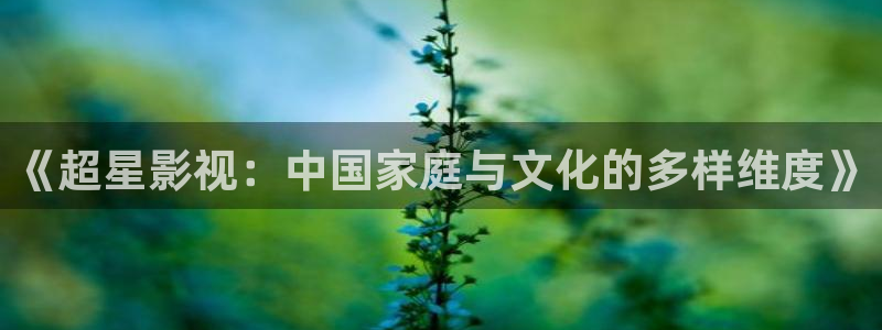 欧美一第页一浮力影院：《超星影视：中国家庭与文化的多样维度》