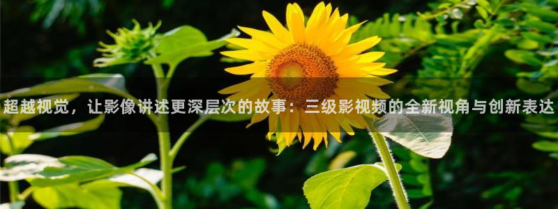 浮力影院在线观看最新电视剧：超越视觉，让影像讲述更深层次的故事：三级影视频的全新视角与创新表达