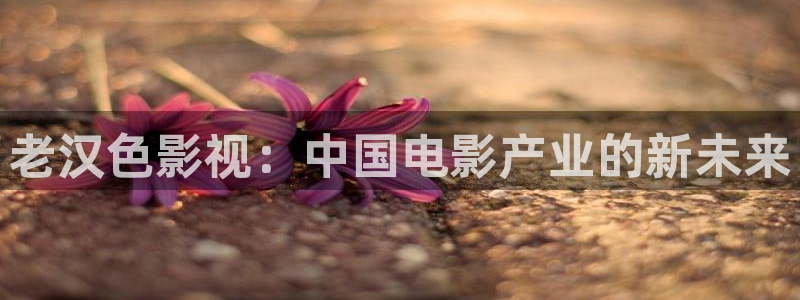 浮力影院观看视频：老汉色影视：中国电影产业的新未来