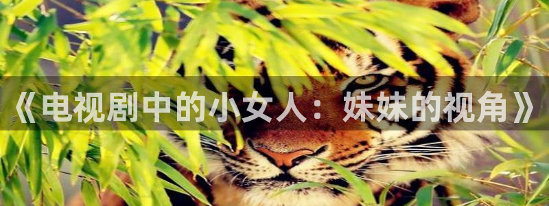 草草影院欧美浮力：《电视剧中的小女人：妹妹的视角》