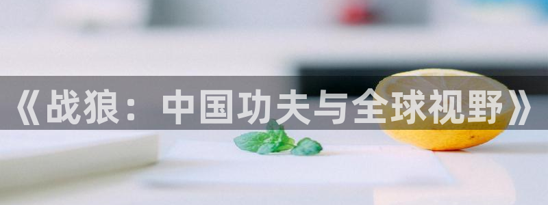 青青草浮力地址草草影院：《战狼：中国功夫与全球视野》